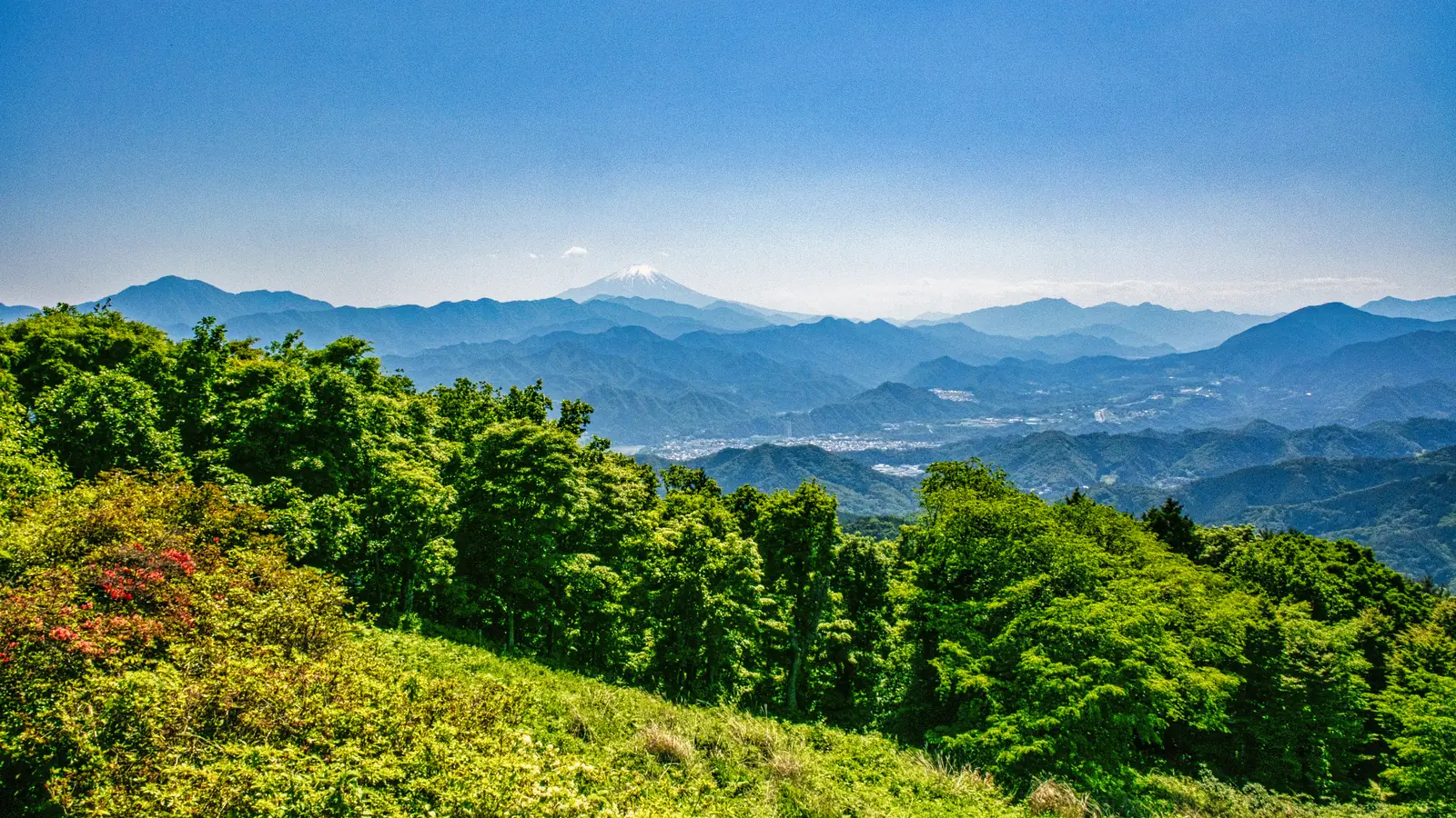 高尾山から望む新緑の山並みと富士山