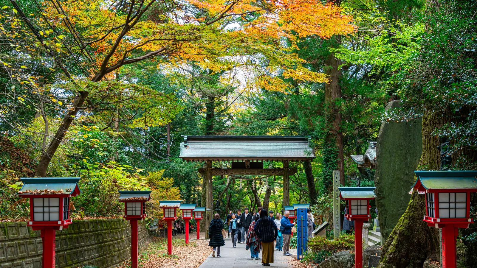 紅葉に包まれた高尾山薬王院の参道と赤い灯籠